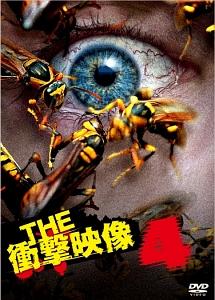 ＴＨＥ 衝撃映像 ４ | 宅配DVDレンタルのTSUTAYA DISCAS