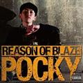 REASON OF BLAZE