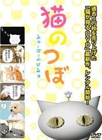 �L�̂ځ`�݂�[�ہ[�̂Ђ݂�