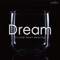 Dream�`�����ɖ����