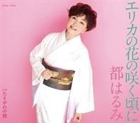 �yMAXI�z�G���J�̉Ԃ̍炭����(�}�L�V�V���O��)