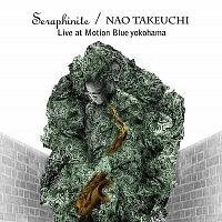 Seraphinite Live at Motion Blue YOKOHAMA
