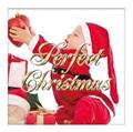 Perfect Christmas