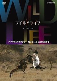 ���C���h���C�t�@�A�t���J��T�o���i�@��΂Ȃ����@��n�𐶂���