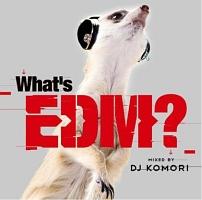 WHAT'S EDM? MIXED BY DJ KOMORI/IjoX̉摜EWPbgʐ^