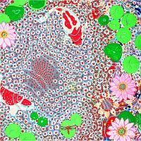 STRAIGHT AHEAD �`Best Of Razoku�`