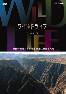 ワイルドライフ 東欧の秘境 タラ渓谷 断崖に野生を見た | 宅配DVD