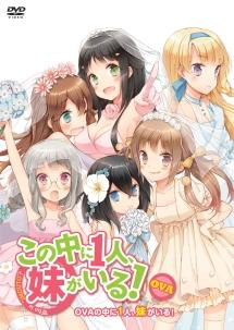 人気ブランド新作豊富 OVAの中に1人、妹がいる! | アニメ | 宅配DVDレンタルのTSUTAYA カード・カードストック