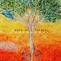 �����ȎP�̓������