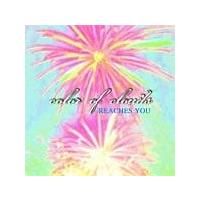 ���[�`�[�Y�E���[