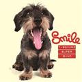 Smile(HYB)