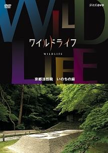 ワイルドライフ 京都法然院 いのちの庭 | 宅配DVDレンタルのTSUTAYA DISCAS