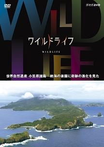 ワイルドライフ 世界自然遺産 小笠原諸島 絶海の楽園に奇跡の進化を見