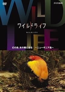 ワイルドライフ 幻の鳥 炎の舞に迫る ニューギニア島 | 宅配DVD