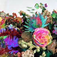 �j���[�X�E�t�����E�m�[�E�F�A(�ʏ��)