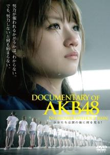 DOCUMENTARY OF AKB48 NO FLOWER WITHOUT RAIN 少女たちは涙の後に何を見る? スペシャル・エディション(Blu-ray2枚組)
