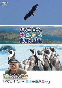 ムツゴロウのゆかいな動物図鑑』シリーズ「鳥たちの世界」 「ペンギン