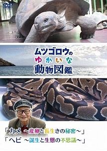 ムツゴロウのゆかいな動物図鑑』 シリーズ 「カメ ～産卵と長生きの