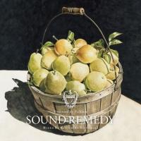 Sound Remedy -Folklove- mixed by Kenichiro Nishihara/IjoX̉摜EWPbgʐ^