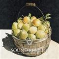 Sound Remedy -Folklove- mixed by Kenichiro Nishihara