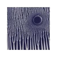 The Grimm Robe Demos