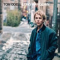 LONG WAY DOWN(DLX)