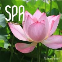 �o���j�[�Y