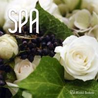 �X�E�F�f�B�b�V��