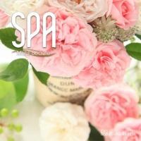 �~�b�V�B�{�[�e