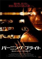 バーニング・ブライトのサムネイル画像