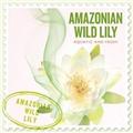 SCENTS OF THE WORLD�`AMAZONIAN WILD LILY