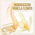 SCENTS OF THE WORLD�`MADAGASCAL VANILLA FLOWER