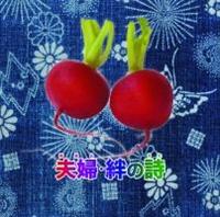 vwEJ̎