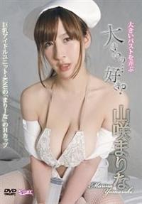 �傫���́c�D���H