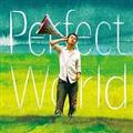 Perfect World