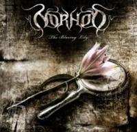 �U�E�u���C�W���O�E�����B