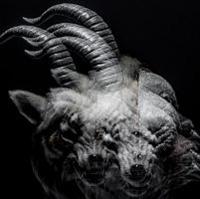 BEAUTIFUL DEFORMITY(�ʏ��)