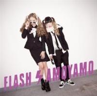 FLASH(�ʏ��)