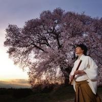 �G(TOKI)�`�t�`