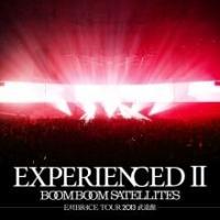 EXPERIENCED2-EMBRACE TOUR 2013 ������-(�ʏ��)