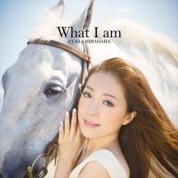 What I am(ʏ)
