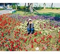 ���̂Ȃ��ɗ����Ă��Ă�