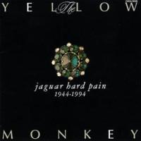 jaguar hard pain 1944-1994 <PERFECT BOX>