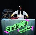 STUDIO CAT(WPbgdl)
