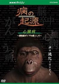 �m�g�j�X�y�V�����@�a�̋N���@�S���a�@�`�����\�|���v�̗��Ƃ����`