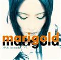 marigold