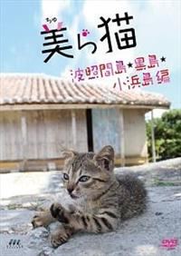 ���i����j��L�@�g�Ɗԓ��E�����E���l����