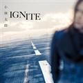 IGNITE(�ʏ��)