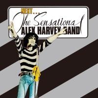 �Z���Z�C�V���i��!!