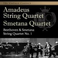 �x�[�g�[���F��:���y�l�d�t��/�X���^�i:���y�l�d�t�ȑ�1��(HYB)